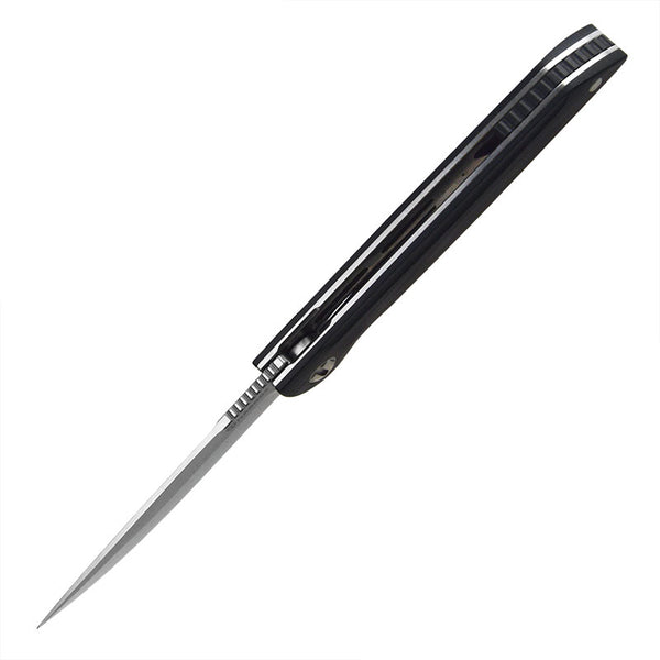 Harnds Assassin CK9171BK-S 14C28N G10 Liner Lock Ball Bearing Pivot Folding Knife